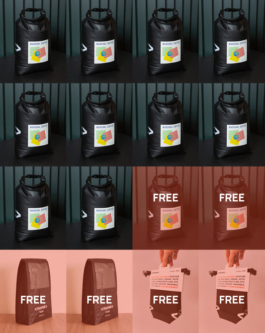 Pilot Starter Pak (Best Seller) – try the full Moree system