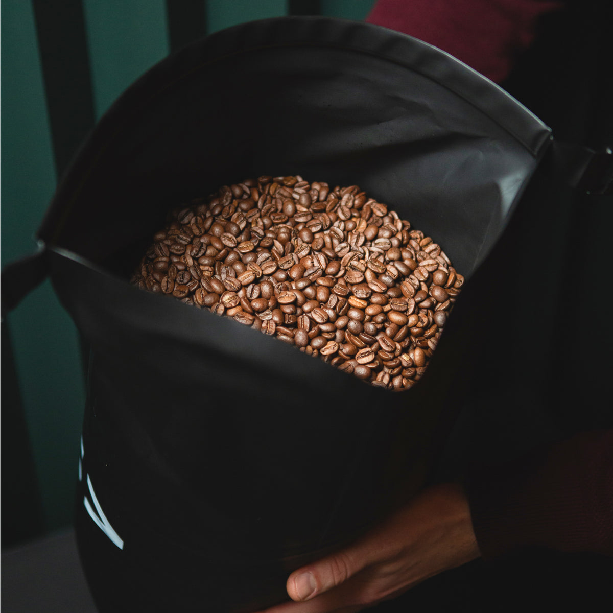 Pilot Starter Pak – try the full Moree system
