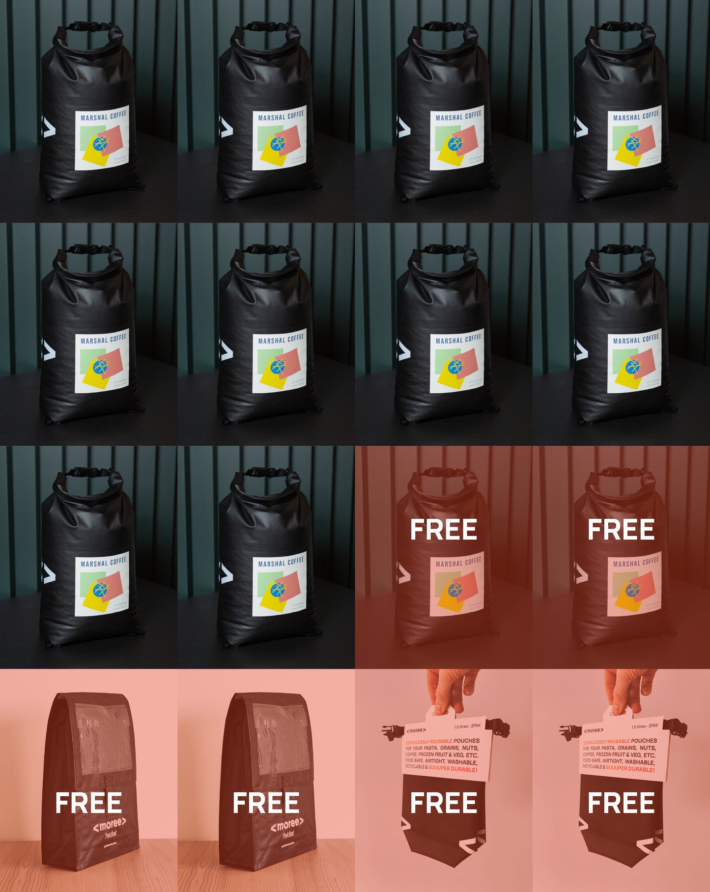 Pilot Starter Pak (Best Seller) – try the full Moree system