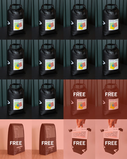 Pilot Starter Pak (Best Seller) – try the full Moree system